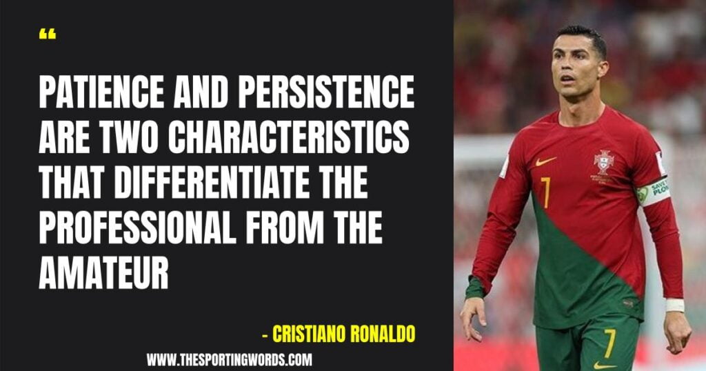 41 Motivational Sports Quotes About Persistence